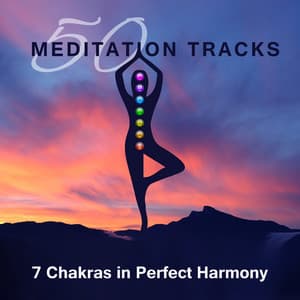 50 Meditation Tracks: 7 Chakras in Perfect Harmony, Songs for Deep Journey, Nature Sounds to Liberate Your Spirit - Chakra Balancing Music Oasis
