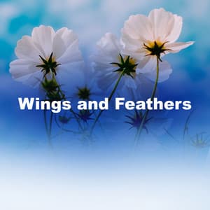 Wings and Feathers - Sound of the Wilderness