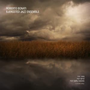 Nor Sea, Nor Land, Nor Salty Waves: A Nordic Story - Roberto Bonati