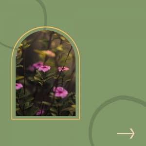 Bgm for Refreshing Spring - Coffee Lounge Jazz Band Chill Out