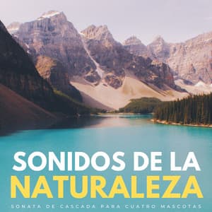 Sonidos De La Naturaleza: Sonata De Cascada Para Cuatro Mascotas - Ciencia de la cascada