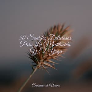 50 Sonidos Deliciosos Para La Meditación Y El Yoga - Meditación Interna