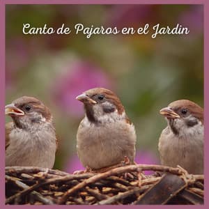 Canto de Pajaros en el Jardin - Sonidos De Pajaros