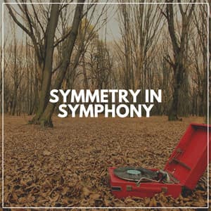 Symmetry in Symphony - Actors of Nature