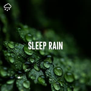 Sleep Rain - Relaxing Rain Recordings