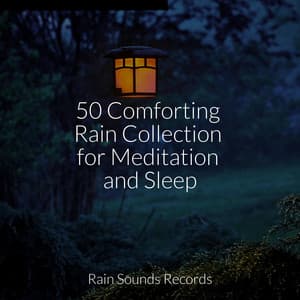 50 Comforting Rain Collection for Meditation and Sleep - Thunderstorm Sound Bank