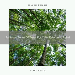 2020 Best: Fantastic Tones Of Trees For Calm Down And Relief - Ambient Forest