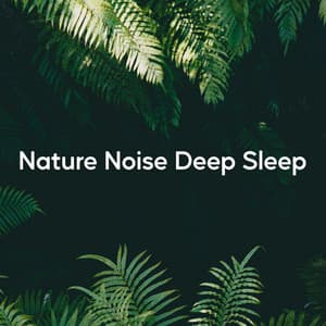 Nature Noise Deep Sleep - Naturgeräusche