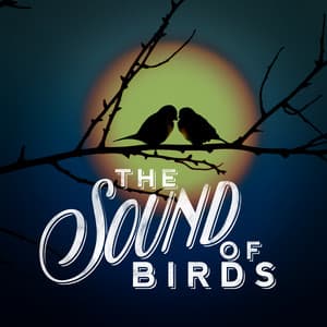 The Sound of Birds - The Calming Sounds Of Nature