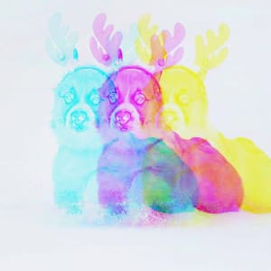 Music for Doggy Work - Simple Piano Duo - Dog Music Radio