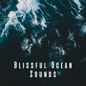 Blissful Ocean Sounds - Waves Hard