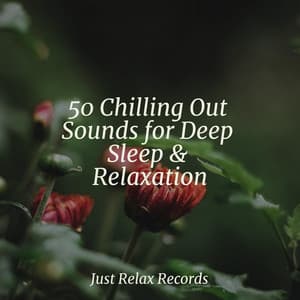 50 Chilling Out Sounds for Deep Sleep & Relaxation - Meditation