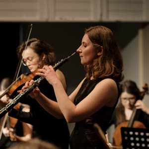 Restful Orchestra: Symphonies for Sleep - Charles Anderson