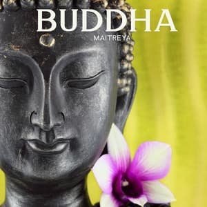 Buddha Maitreya: Japanese Buddhist Meditation Flute and Drums, Spiritual New Age Music - Buddhism Academy