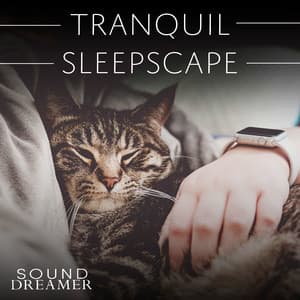 Tranquil Sleepscape - Sound Dreamer