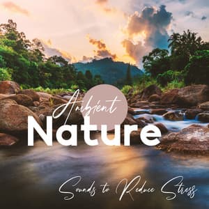 Ambient Nature Sounds to Reduce Stress: Anxiety Relief Mornings - The Flowing Mind