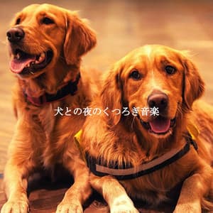 犬との夜のくつろぎ音楽 - Hotel Lobby Jazz Music