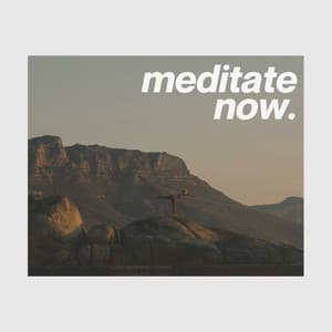 Meditate Now - Wellness