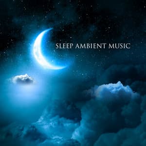 Sleep Ambient Music: Rest And Relaxation, Fall Asleep QuicklyI, Insomnia Music For Sleep, Slumber Music - Sleep Ambience