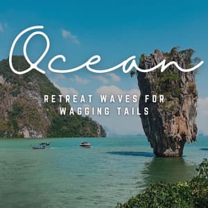 Music of Tranquil Paws: Coastal Bliss for Dogs - beach goers