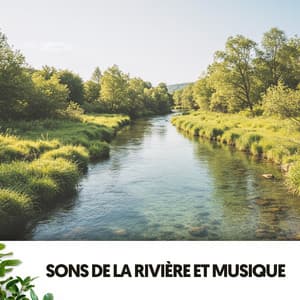 Sons de la Rivière et Musique : Mélodies Aquatiques - Solfeggio Frequencies 528Hz