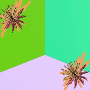 Inspiring Backdrop for Balancing Move - Acoustic Coffee Shop Music