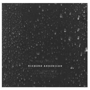 Intuition - Richard Andersson