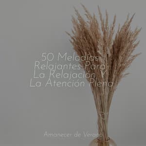 50 Melodías Relajantes Para La Relajación Y La Atención Plena - Musica para Meditar