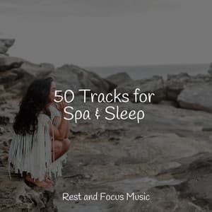 50 Tracks for Spa & Sleep - Native American Flute