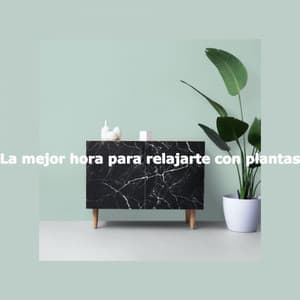 La mejor hora para relajarte con plantas - Feel Good Jazz