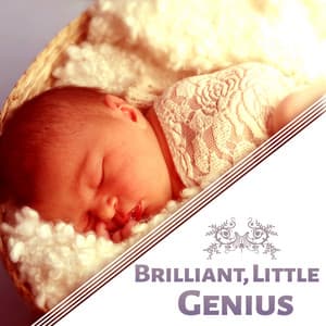 Brilliant, Little Genius – Development Music for Baby, Einstein Effect, Train Mind Your Child - Baby Mozart Orchestra