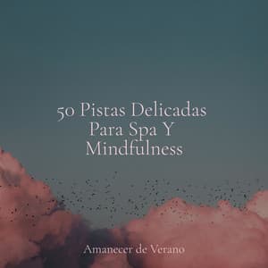 50 Pistas Delicadas Para Spa Y Mindfulness - Musica Para Estudiar Academy
