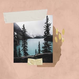 Music for Safe Magic - Music for Work