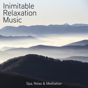 Inimitable Relaxation Music - Just Relax Music Universe