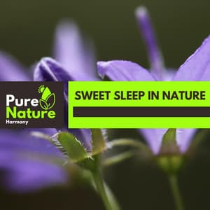 Sweet Sleep in Nature - Nature Field Recordings
