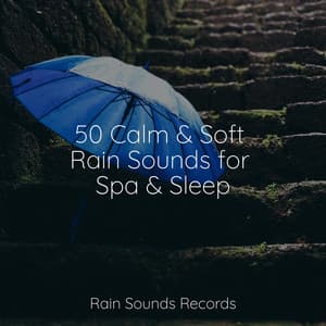 50 Calm & Soft Rain Sounds for Spa & Sleep - New Age
