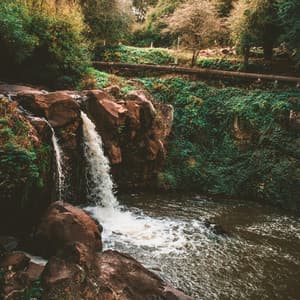45 Songs With Nature: Blissful Creek - Baltic Nature Sounds