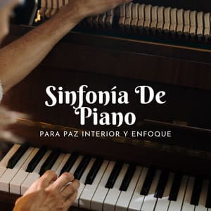 Sinfonía De Piano Para Paz Interior Y Enfoque - Lista de reproducción de piano clásico