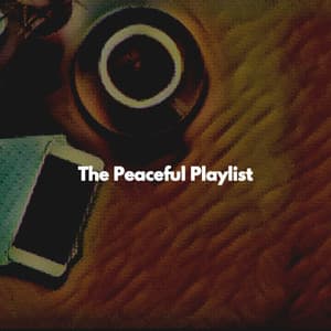 The Peaceful Playlist - Reading Background Music Playlist