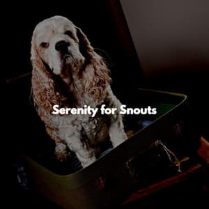 Serenity for Snouts - Dog Separation Anxiety Music