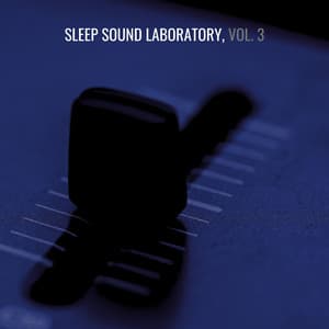 Sleep Sound Laboratory, Vol. 3 - Sound Traveller
