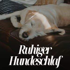 Ruhiger Hundeschlaf - Hundemusik