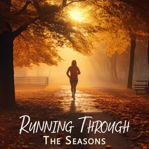 Running Through The Seasons: The Chillout Running Soundtrack 2023 - I Void