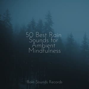 50 Best Rain Sounds for Ambient Mindfulness - Sounds of Nature White Noise for Mindfulness, Meditation and Relaxation