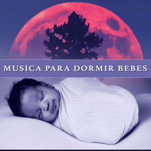Musica Para Dormir Bebes - Musica Para Dormir Bebes