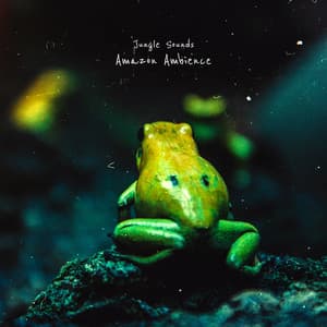 Amazon Ambience - Jungle Sounds