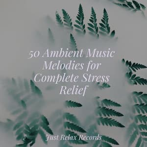 50 Ambient Music Melodies for Complete Stress Relief - Massage Therapy Music