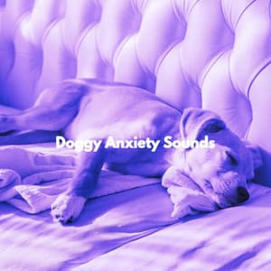 Doggy Anxiety Sounds - Happy Calm Jazz for Dogs