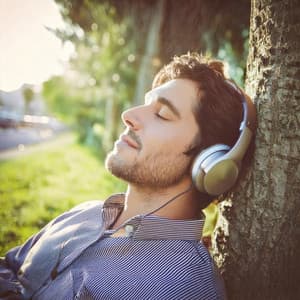 Tranquilidad Y Armonía: Música Para La Relajación Diaria - Arce plateado