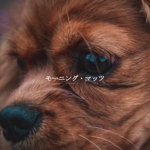 モーニング・マッツ - Jazz para Estudiar